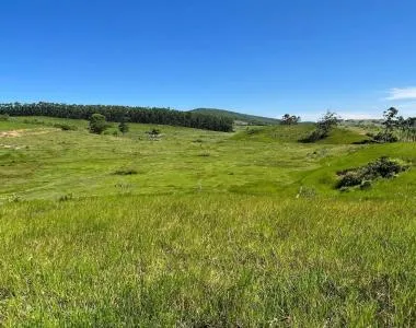 EXCELENTE FAZENDA A VENDA EM IMARUI LITORAL SUL DE SANTA CATARINA. EXCELENTE FAZENDA A VENDA EM IMARUI LITORAL SUL DE SANTA CATARINA.