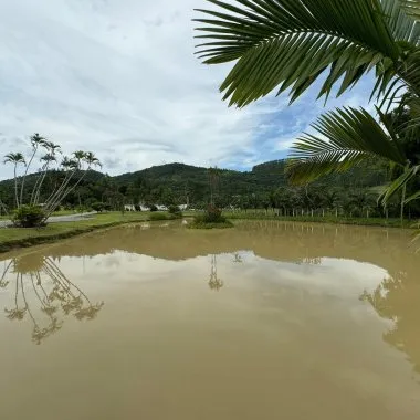 Sítio de Alto Padrão à Venda em Camboriú – SC Sítio de Alto Padrão à Venda em Camboriú – SC