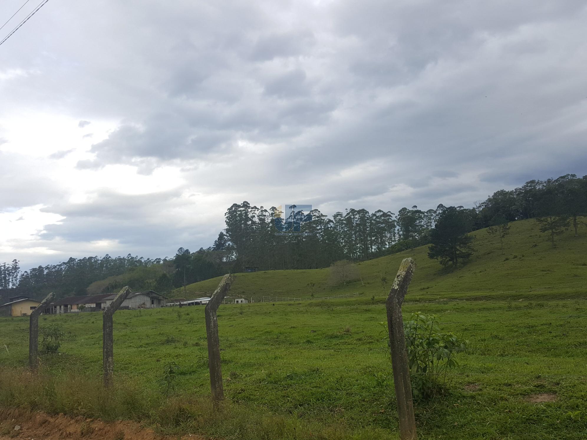 Sítio, 5 hectares - Foto 16