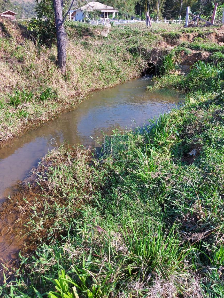 Sítio, 5 hectares - Foto 20