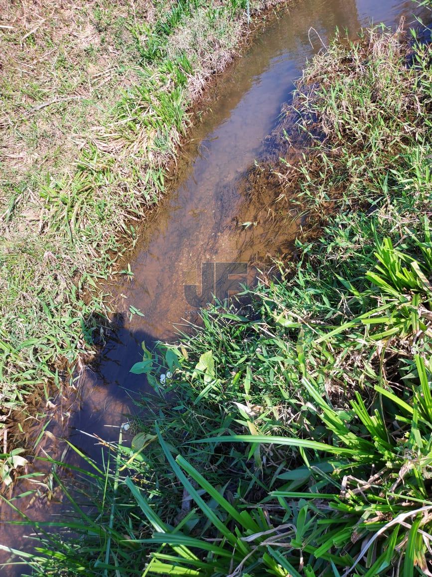 Sítio, 5 hectares - Foto 21