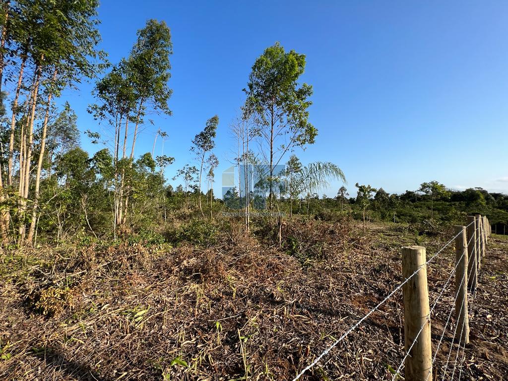 Terreno, 20 hectares - Foto 11