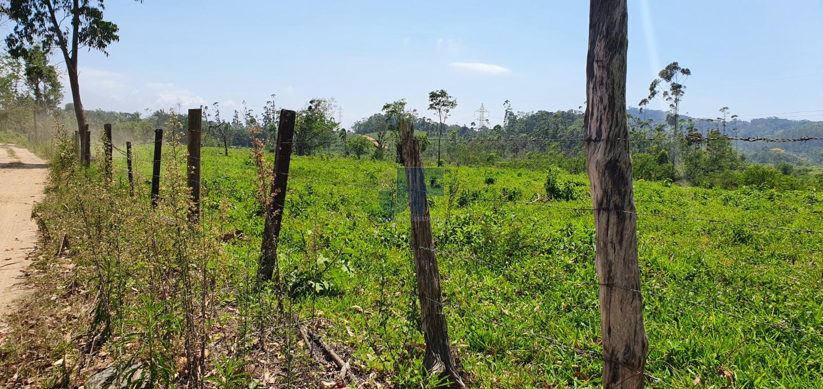 Terreno, 19 hectares - Foto 7
