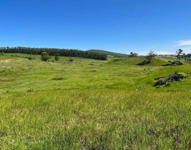 EXCELENTE FAZENDA A VENDA EM IMARUI LITORAL SUL DE SANTA CATARINA. EXCELENTE FAZENDA A VENDA EM IMARUI LITORAL SUL DE SANTA CATARINA.