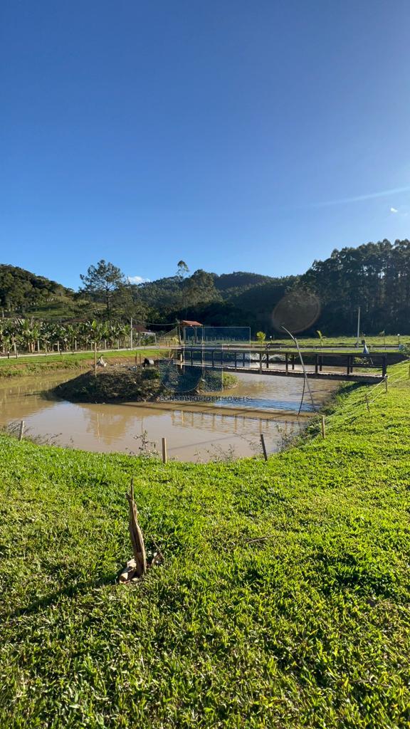 Sítio, 2 quartos, 1 hectares - Foto 7