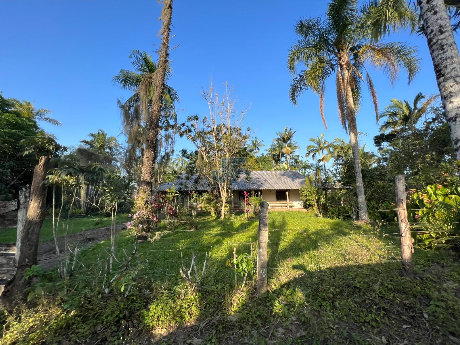 Terreno, 19 hectares - Foto 15