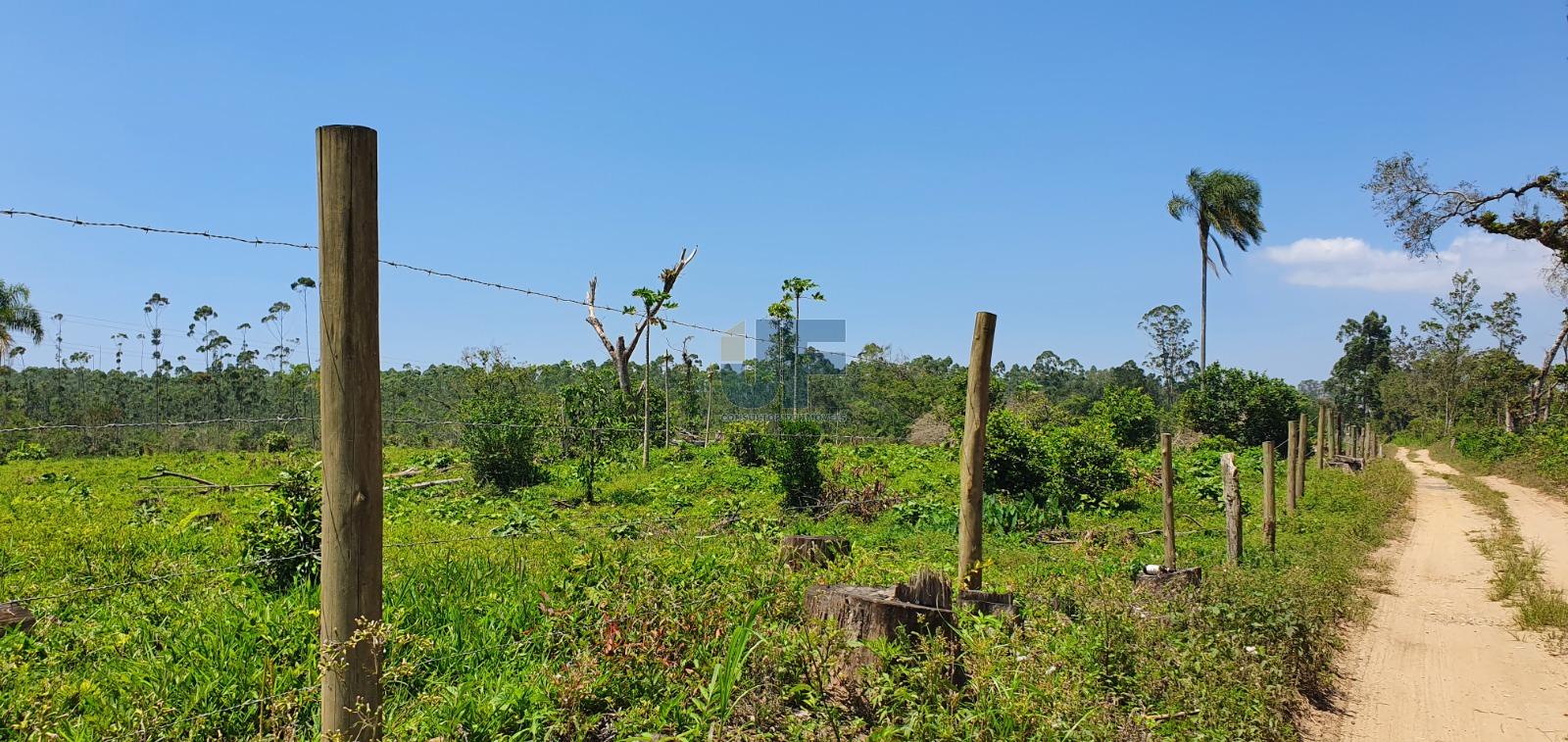 Terreno, 19 hectares - Foto 8