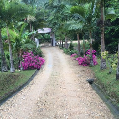 Sitio para Quem Tem Bom Gosto Encontra - Se A 24 Km De Balneário Camboriú Sitio para Quem Tem Bom Gosto Encontra - Se A 24 Km De Balneário Camboriú