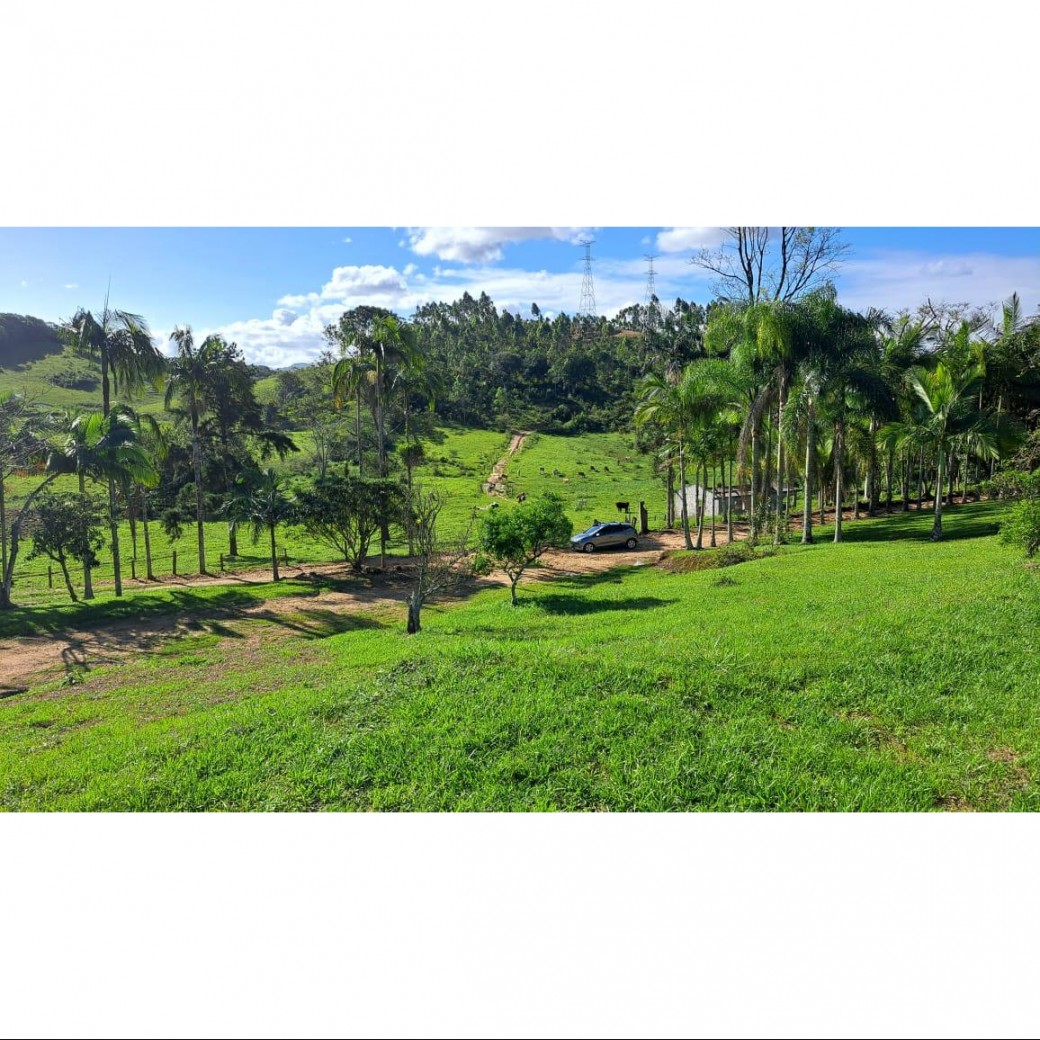 Sítio, 16 hectares - Foto 12