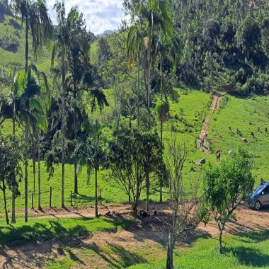 Vende-se um belíssimo terreno rural no bairro Paciência na cidade de Itajaí. Vende-se um belíssimo terreno rural no bairro Paciência na cidade de Itajaí.