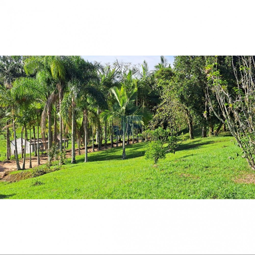 Sítio, 16 hectares - Foto 2