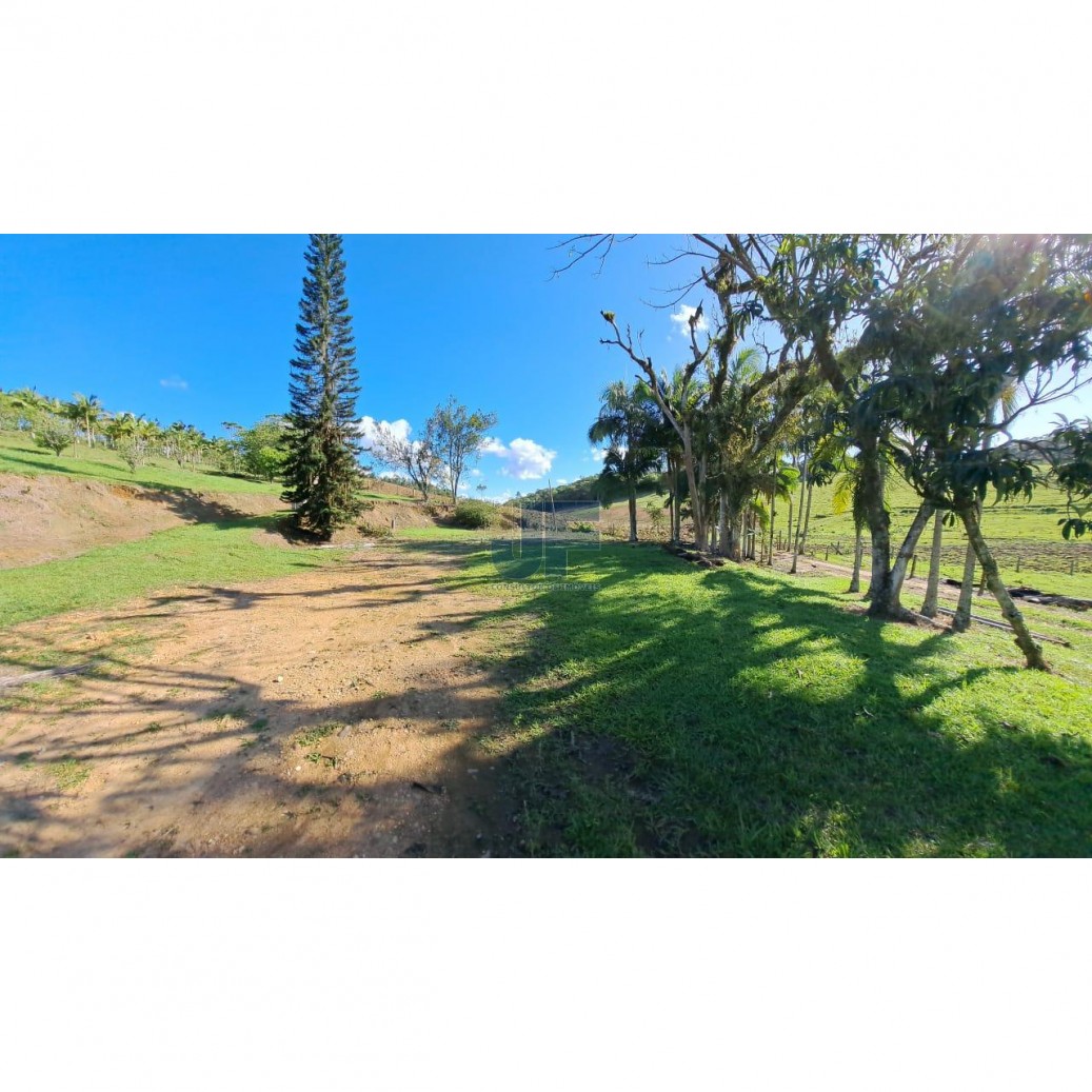 Sítio, 16 hectares - Foto 3