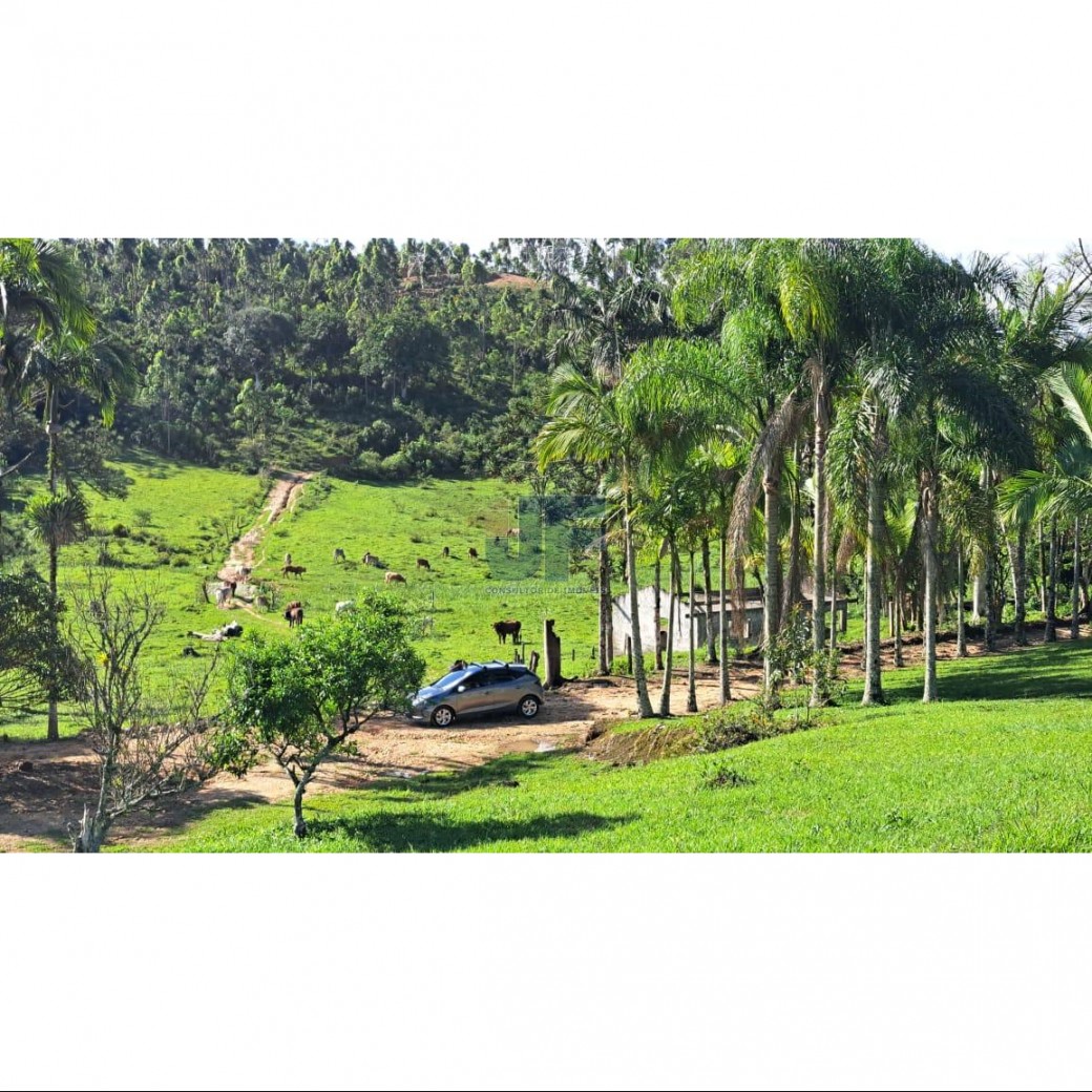 Sítio, 16 hectares - Foto 4