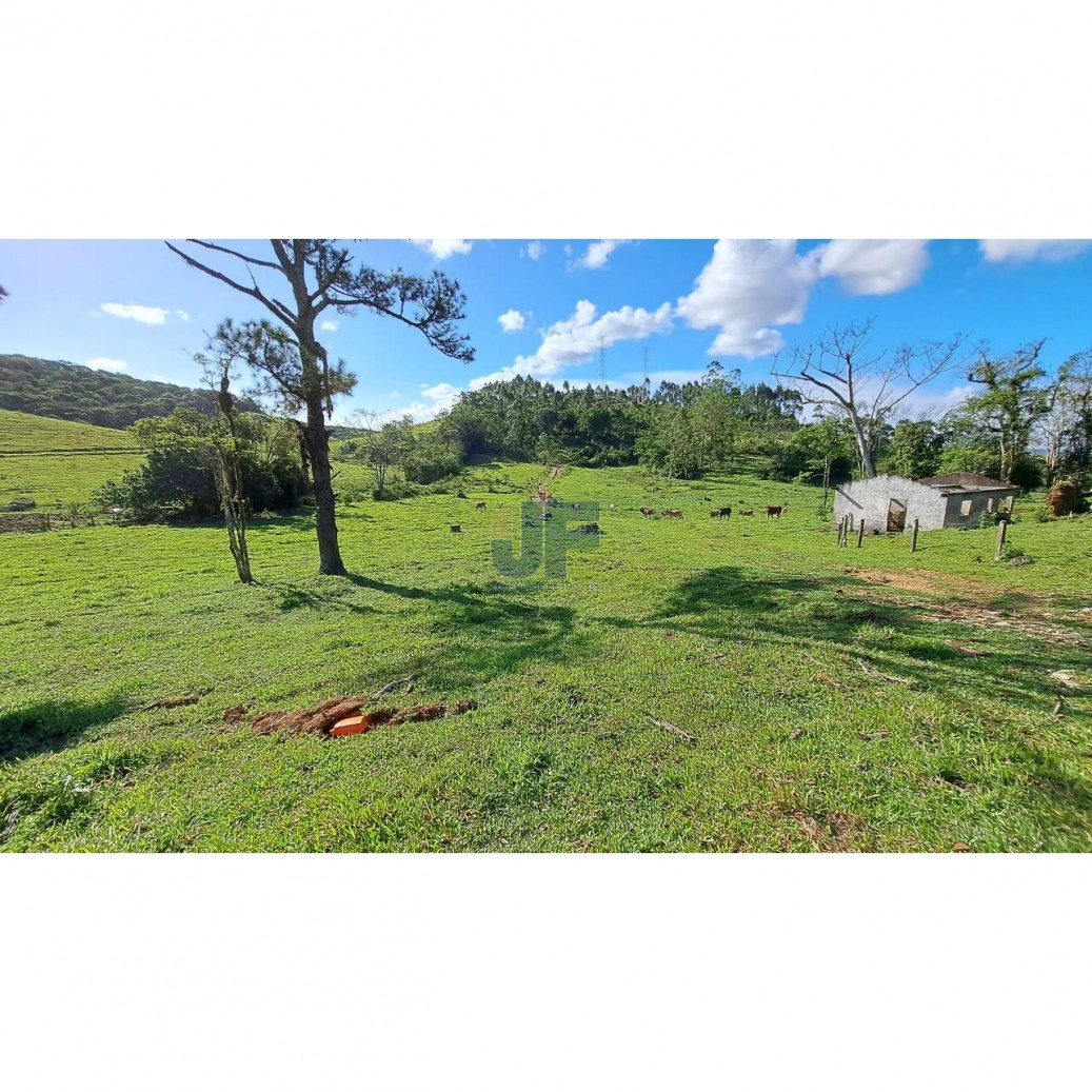 Sítio, 16 hectares - Foto 5