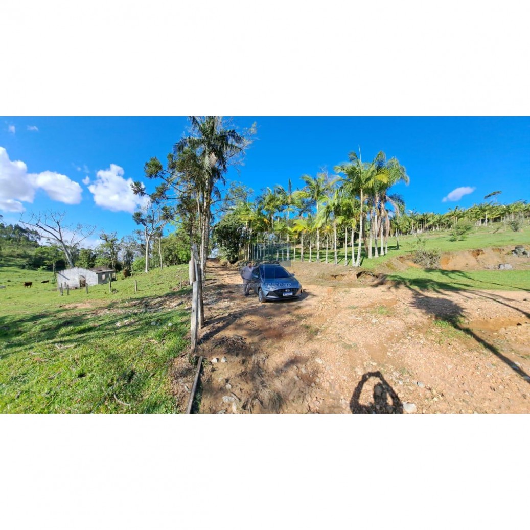 Sítio, 16 hectares - Foto 7