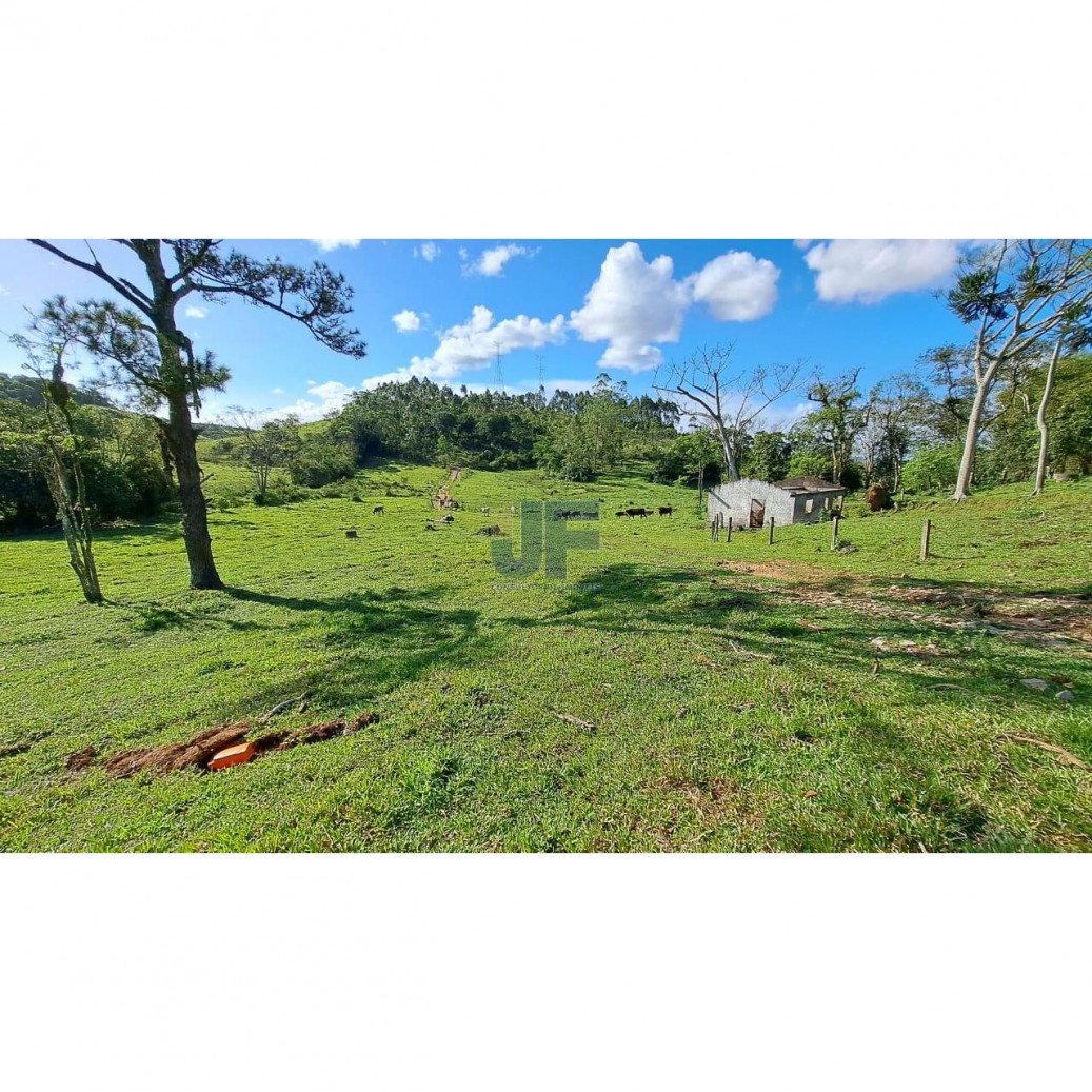 Sítio, 16 hectares - Foto 8