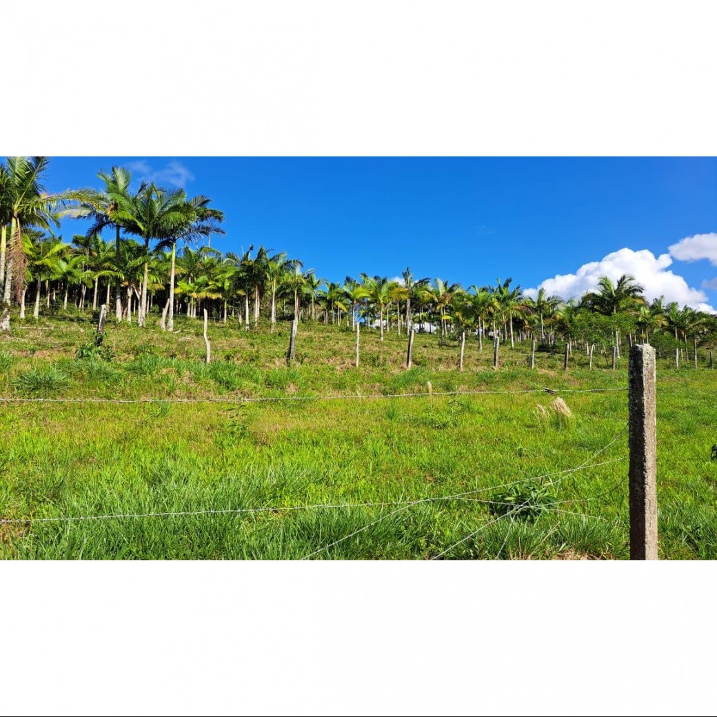 Terreno à venda, 160000m² - Foto 10