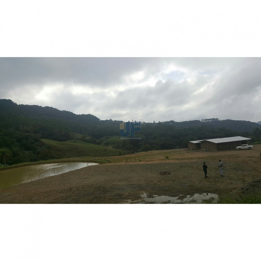 Sítio, 4 quartos, 785 m² - Foto 1