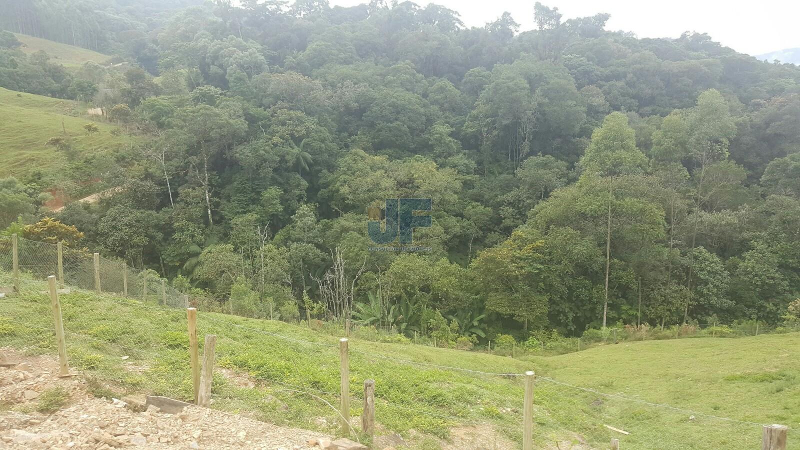 Sítio, 4 quartos, 785 m² - Foto 10