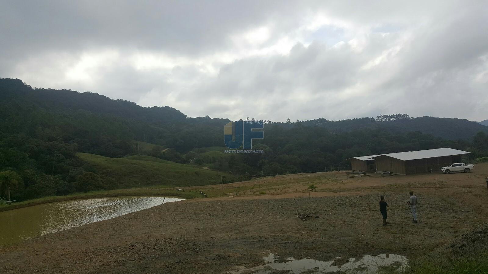 Sítio, 4 quartos, 785 m² - Foto 11