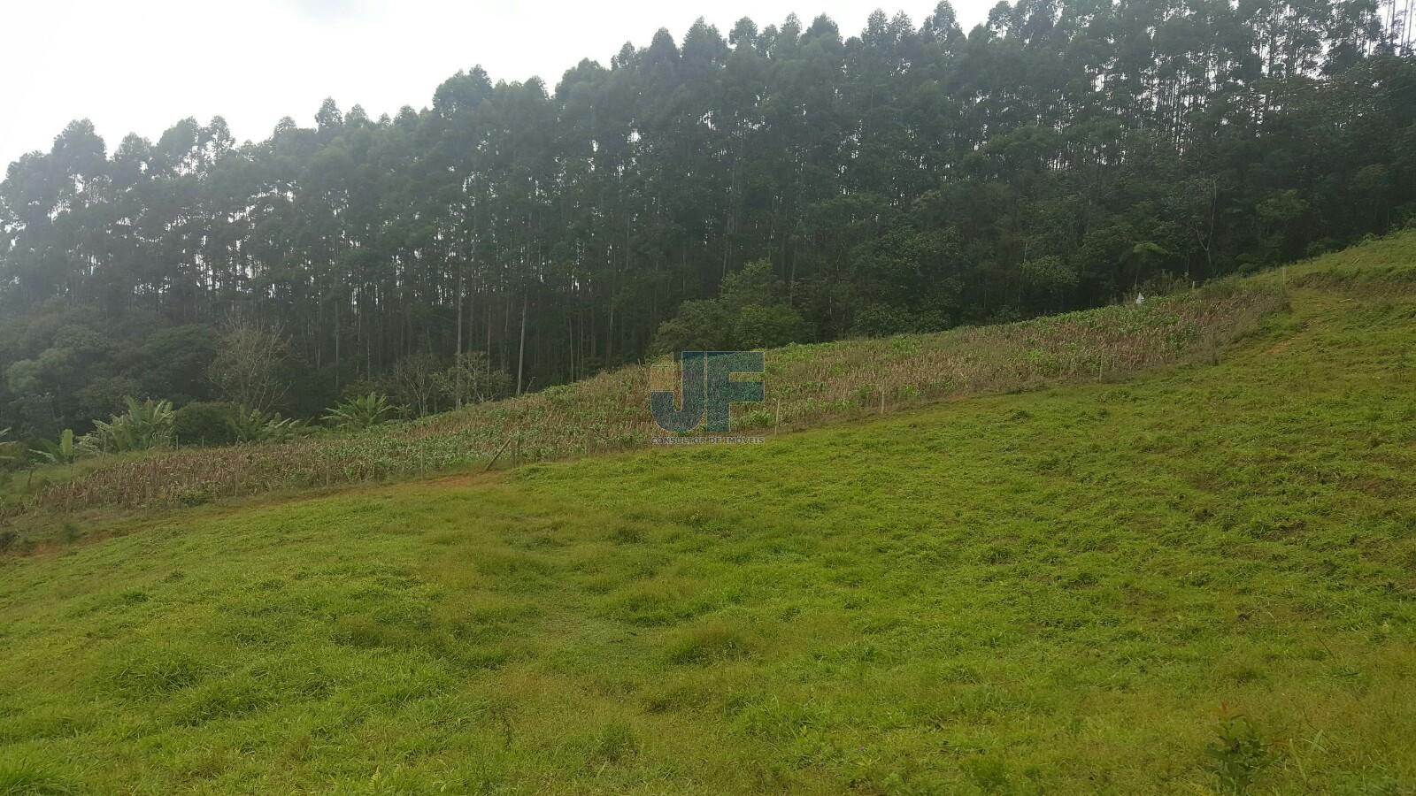 Sítio, 4 quartos, 785 m² - Foto 14