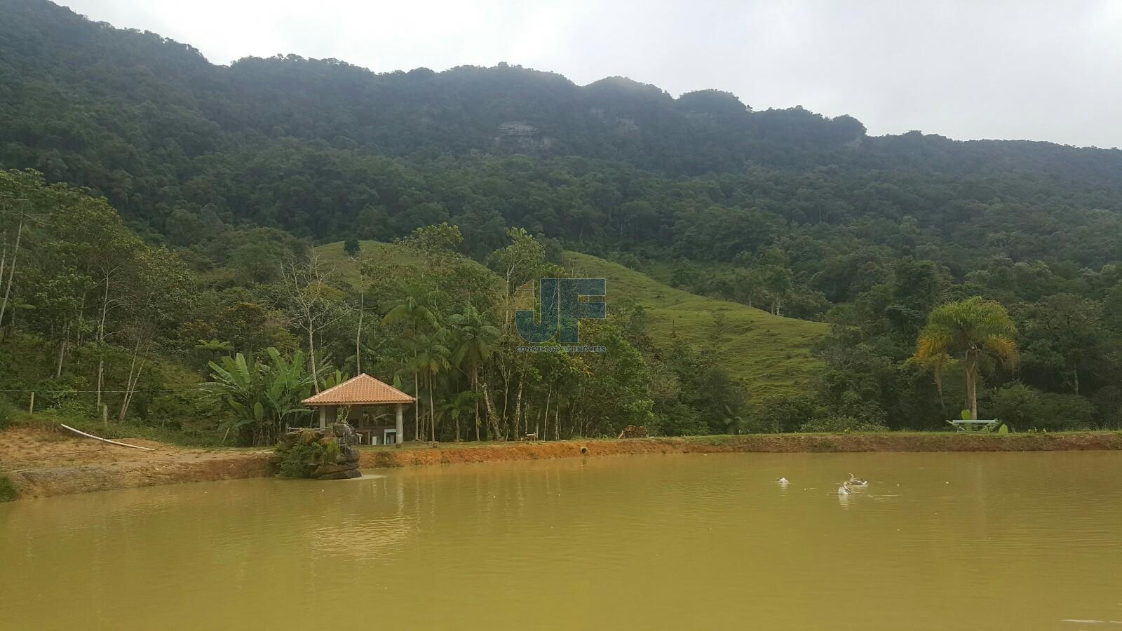 Sítio, 4 quartos, 785 m² - Foto 16