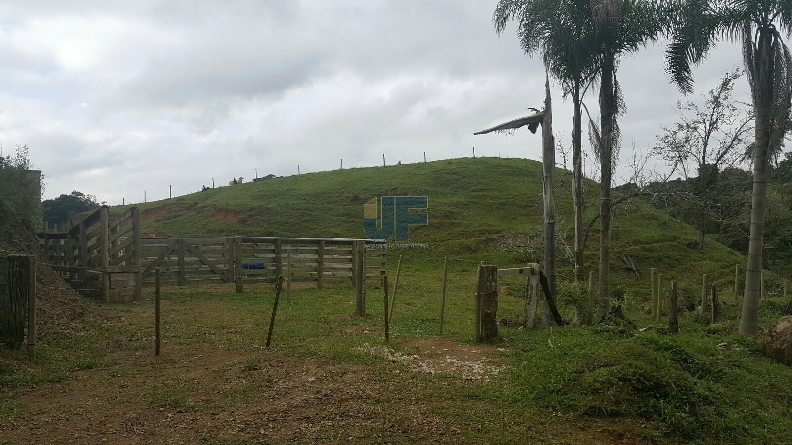 Sítio, 4 quartos, 785 m² - Foto 19