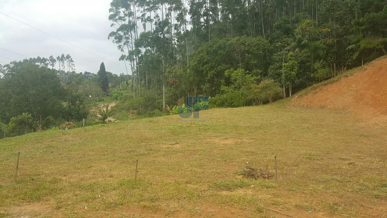 Sítio, 4 quartos, 785 m² - Foto 2