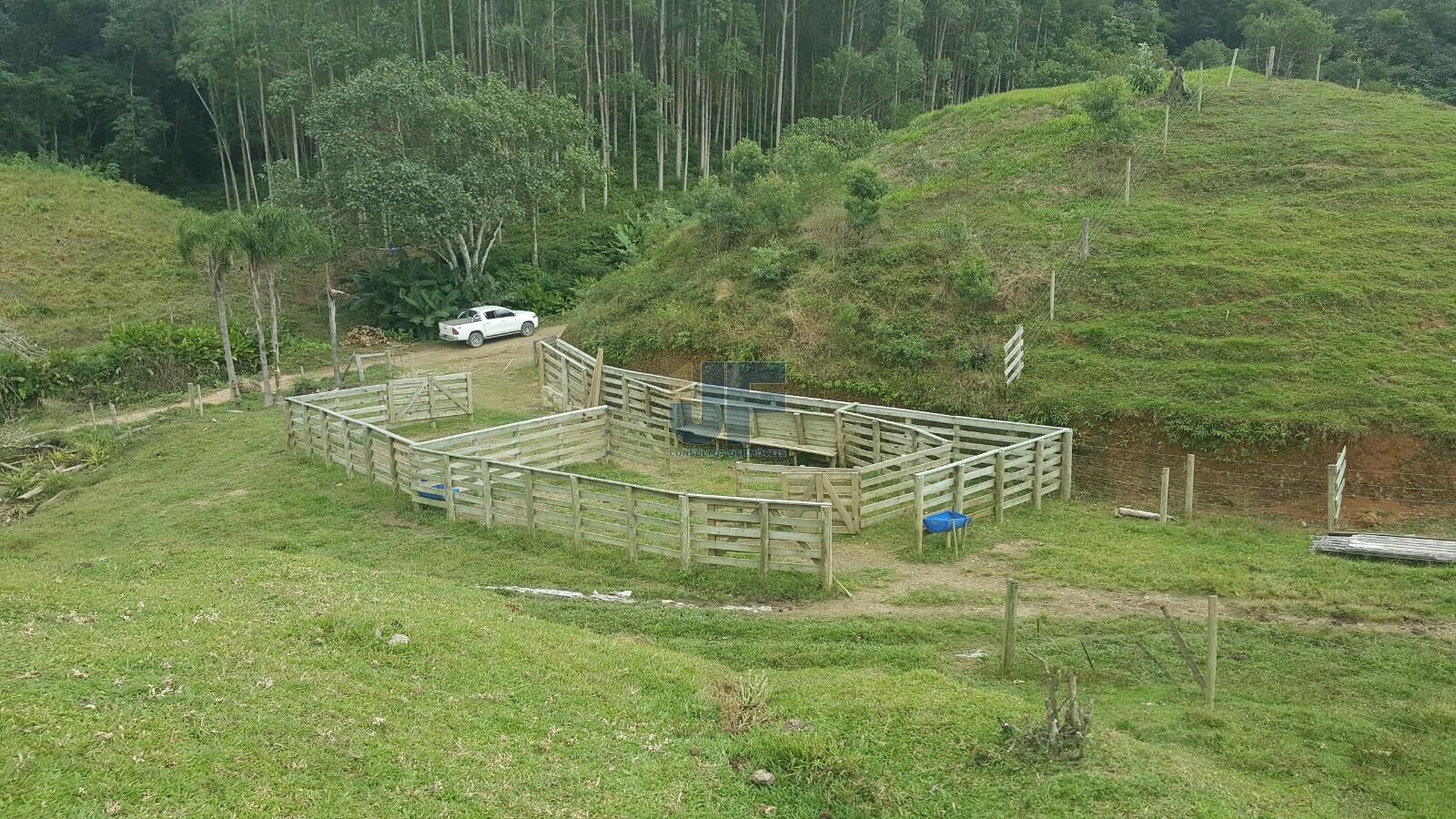 Sítio, 4 quartos, 785 m² - Foto 20