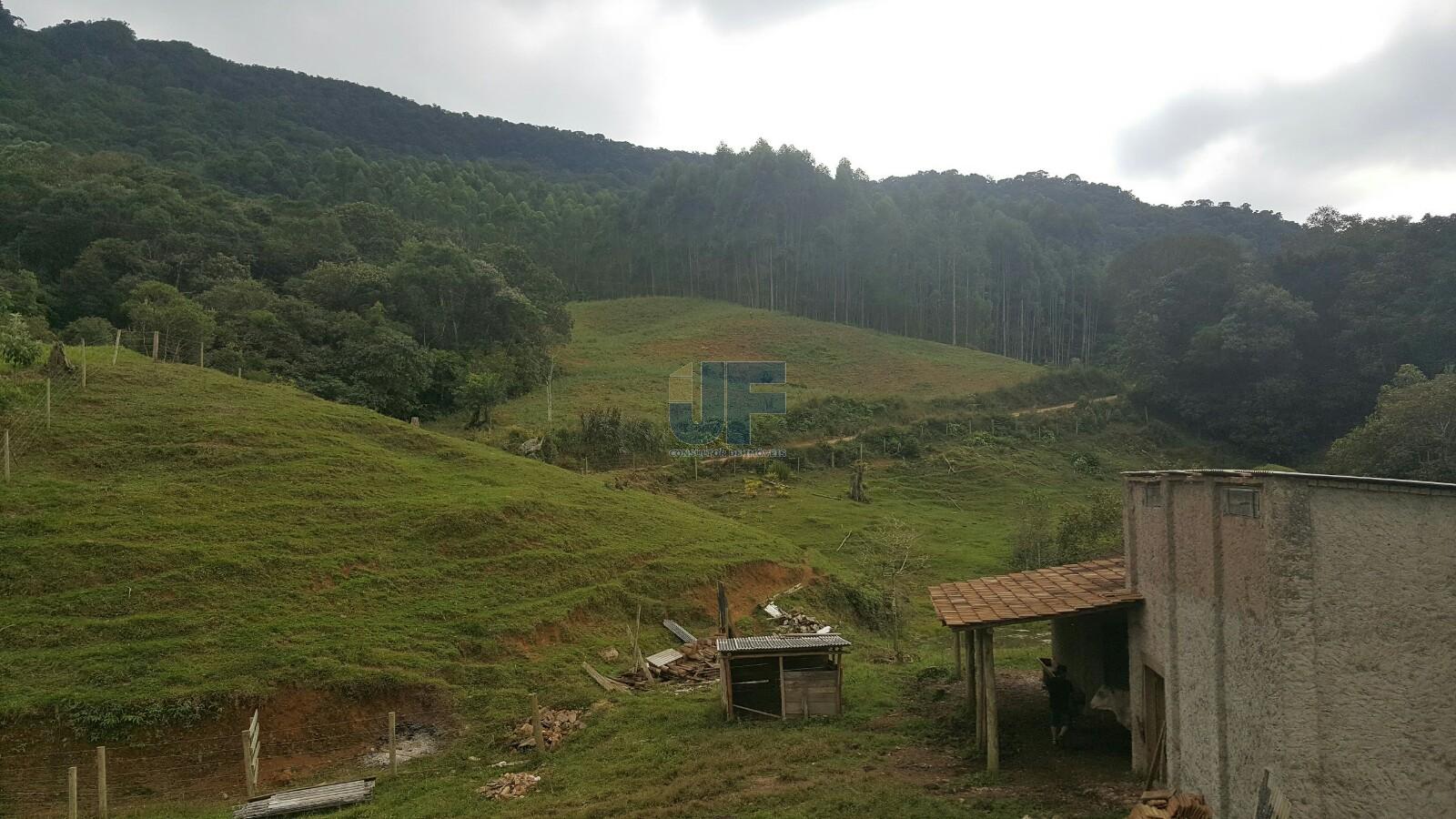 Sítio, 4 quartos, 785 m² - Foto 21