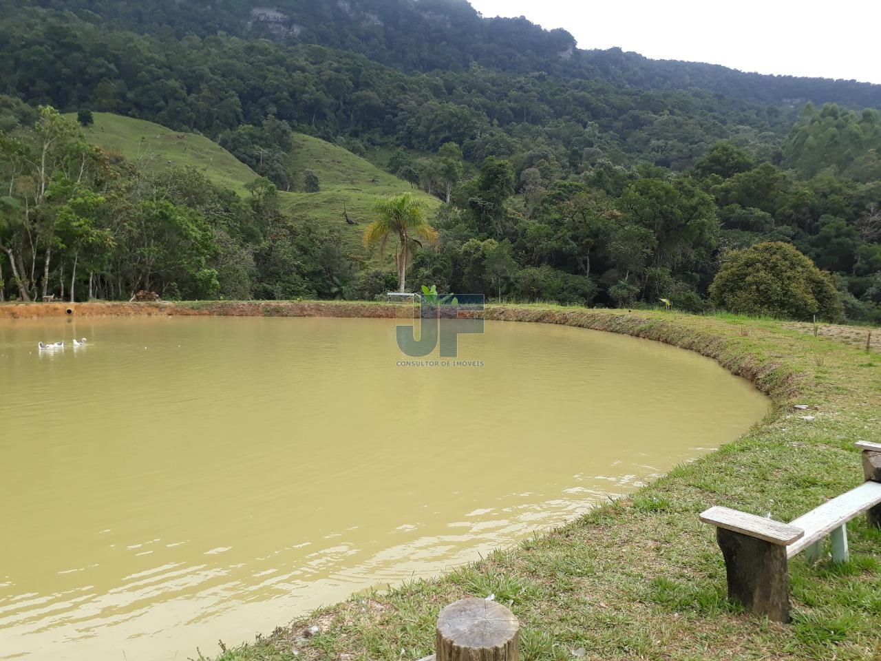 Sítio, 4 quartos, 785 m² - Foto 27