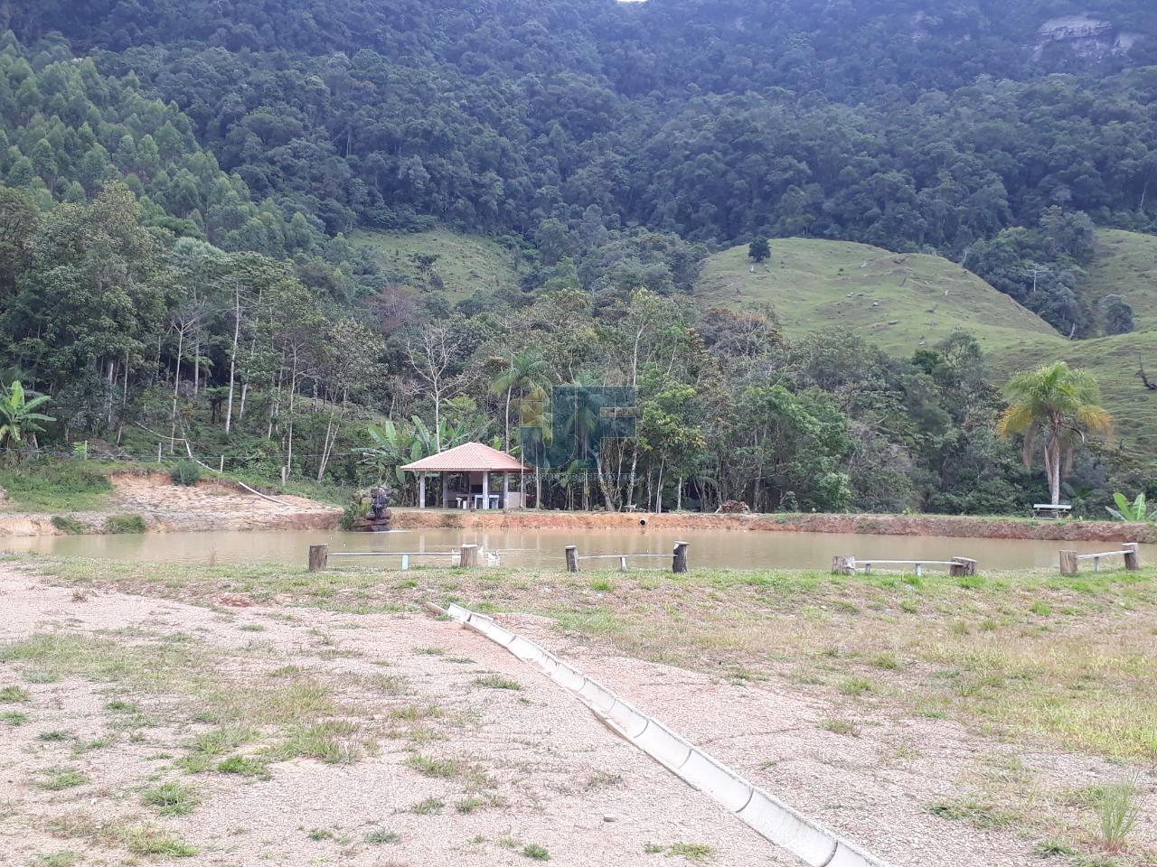 Sítio, 4 quartos, 785 m² - Foto 30