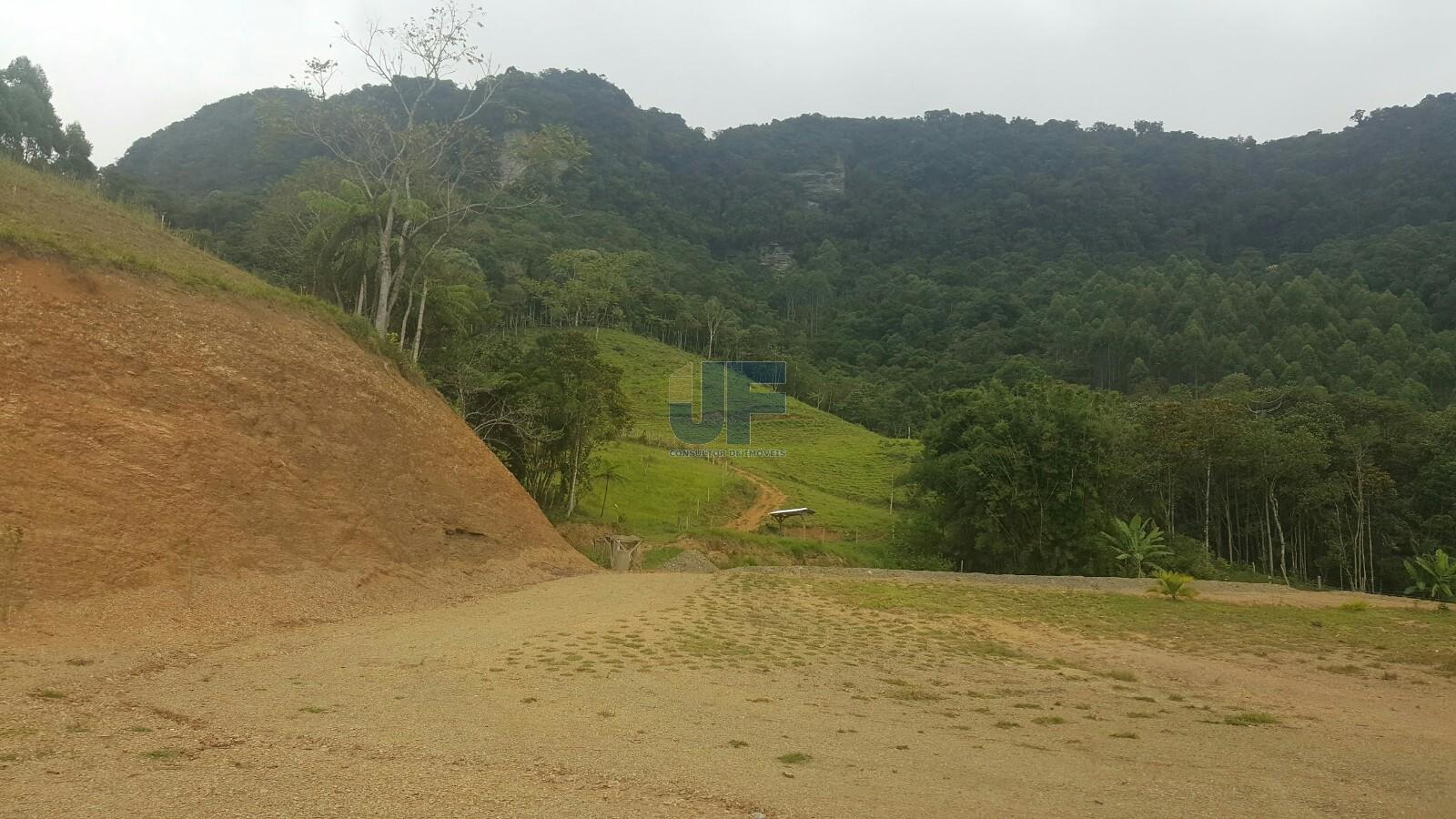 Sítio, 4 quartos, 785 m² - Foto 4