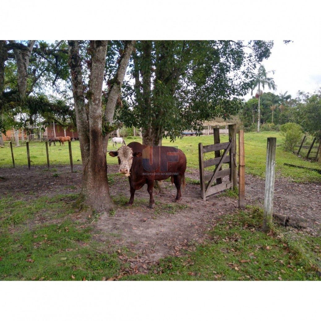 Fazenda à venda, 620000000m² - Foto 13