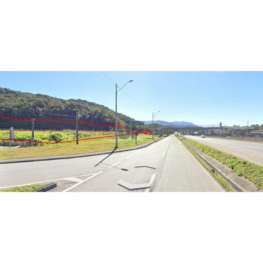 Terreno, 53533 hectares - Foto 3