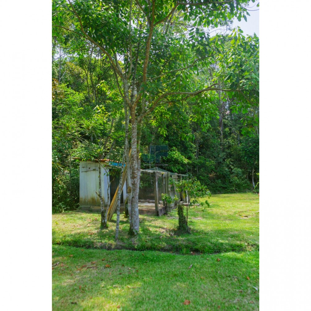 Sítio, 2232 m² - Foto 18