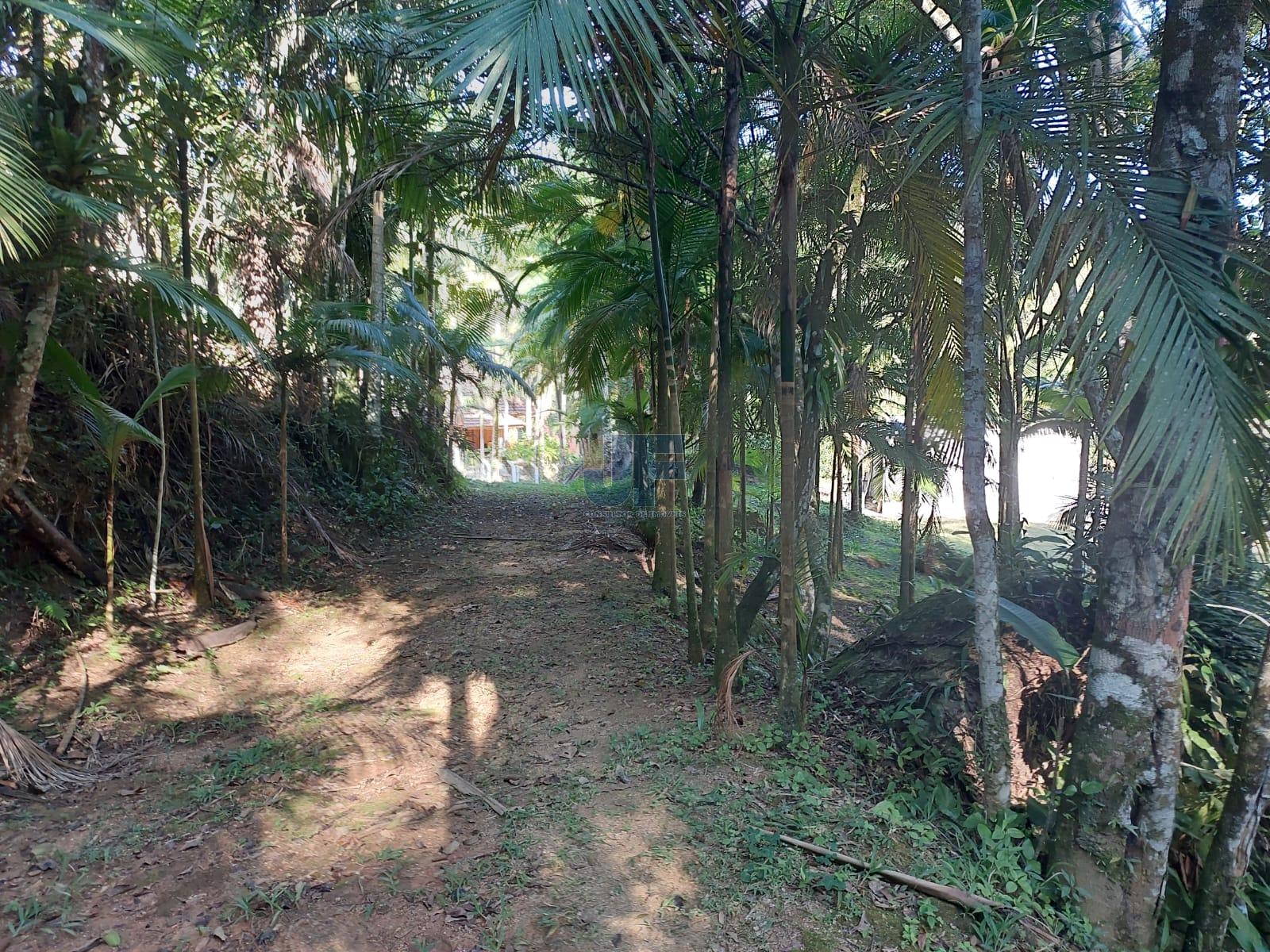 Sítio, 2 quartos, 18000 m² - Foto 14