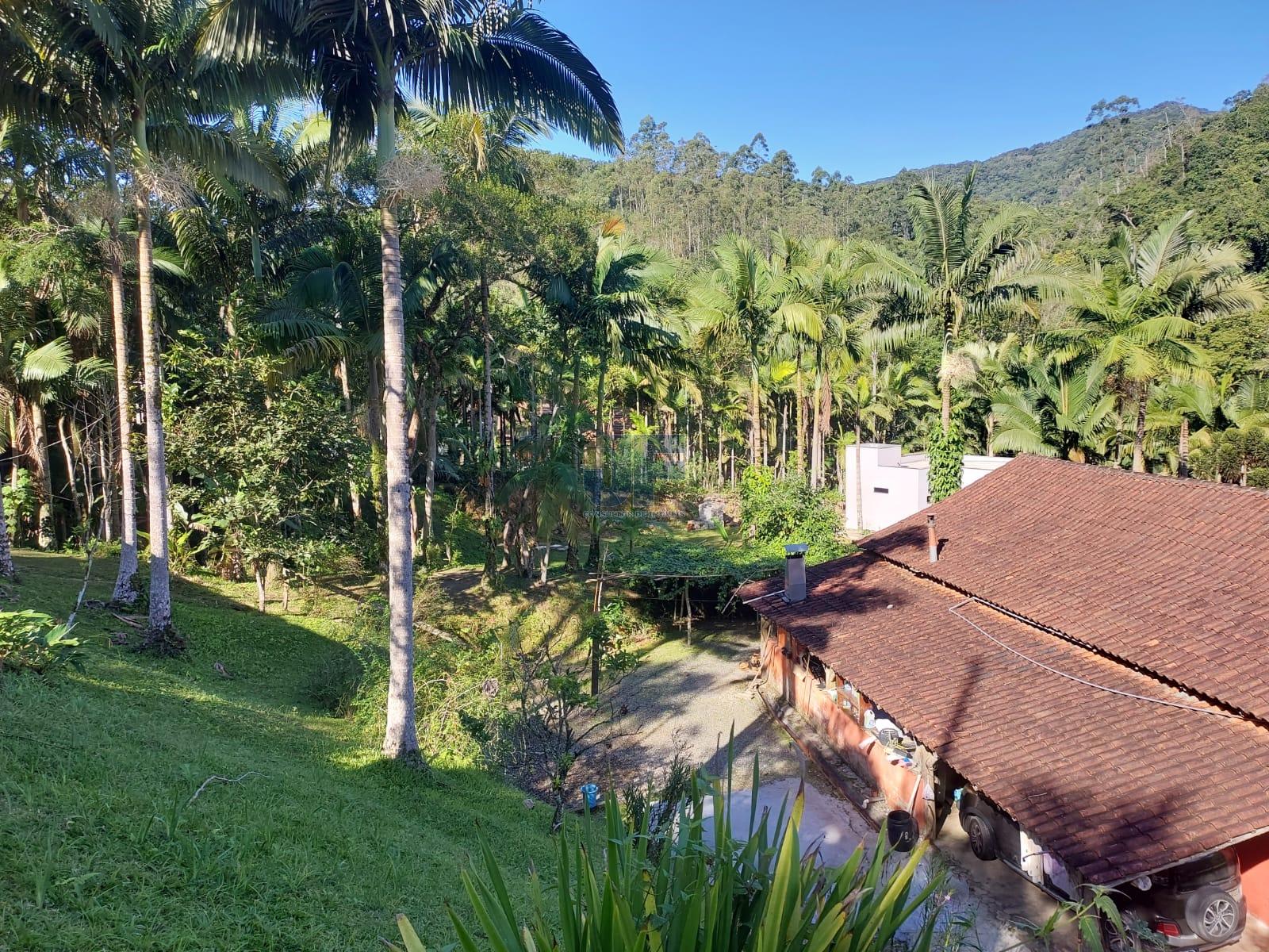 Sítio, 2 quartos, 18000 m² - Foto 15