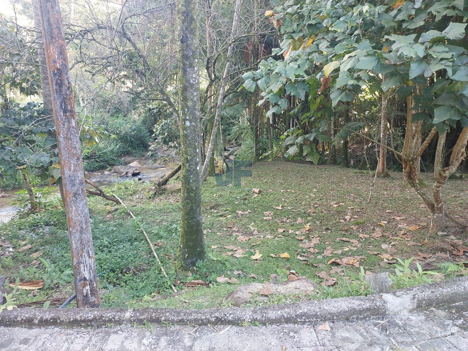 Sítio, 2 quartos, 18000 m² - Foto 4