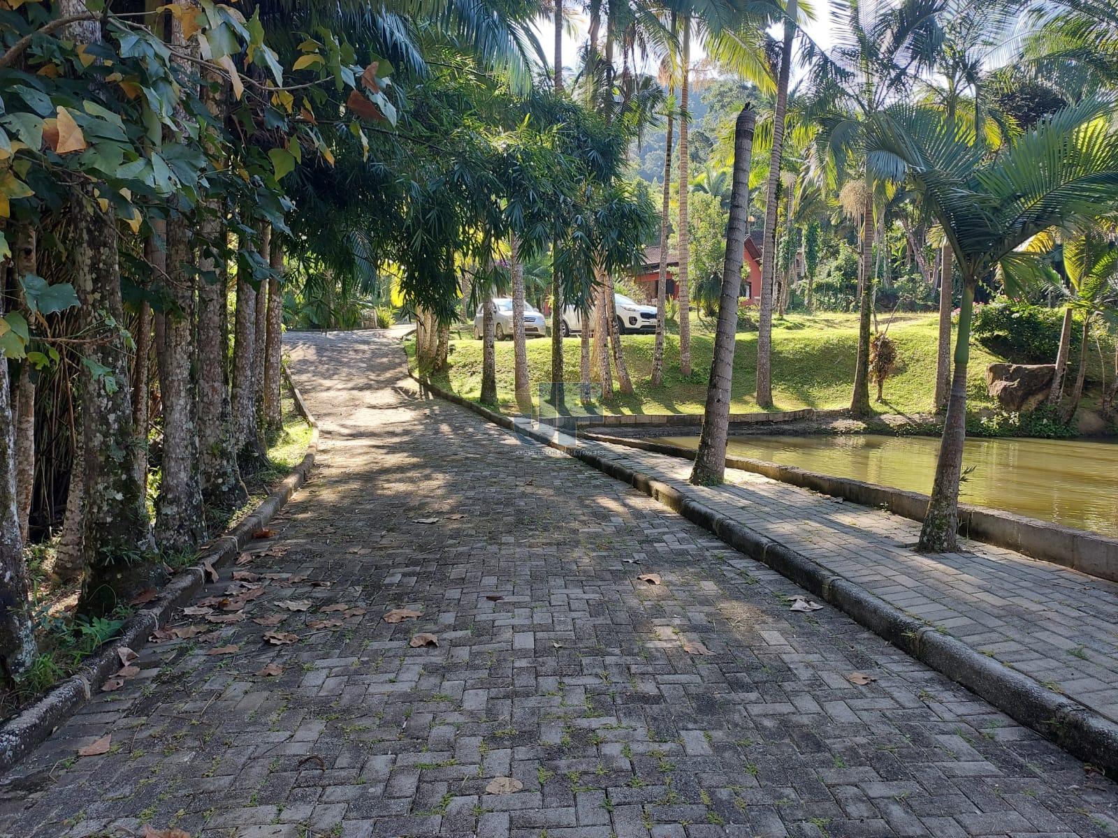 Sítio, 2 quartos, 18000 m² - Foto 9