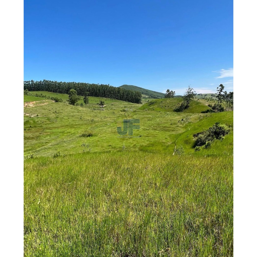 Fazenda, 82 hectares - Foto 1