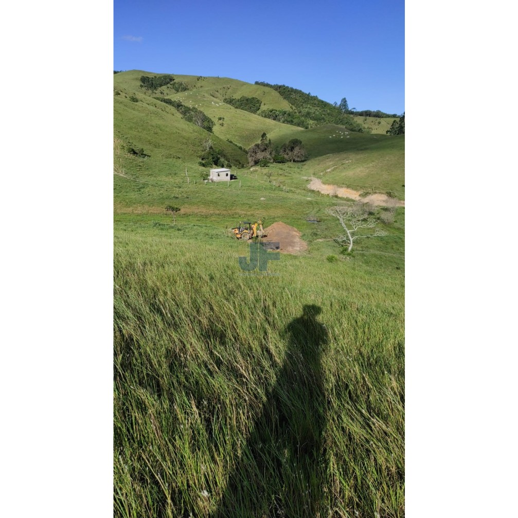 Fazenda, 82 hectares - Foto 10