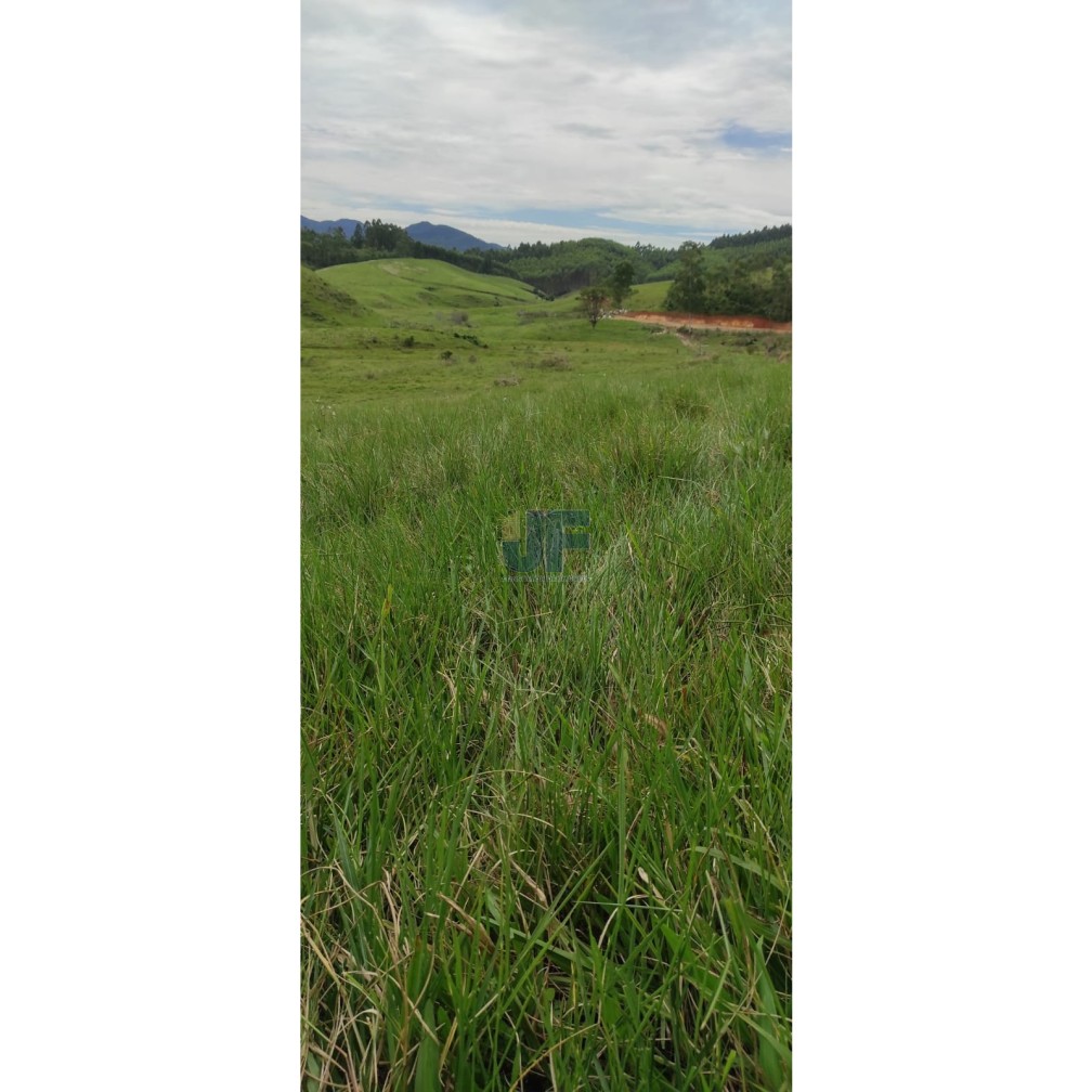 Fazenda, 82 hectares - Foto 11