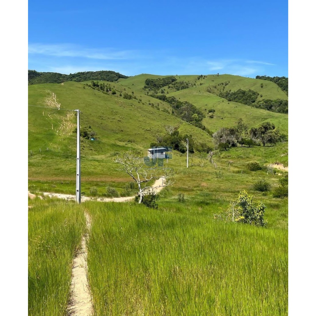 Fazenda, 82 hectares - Foto 7