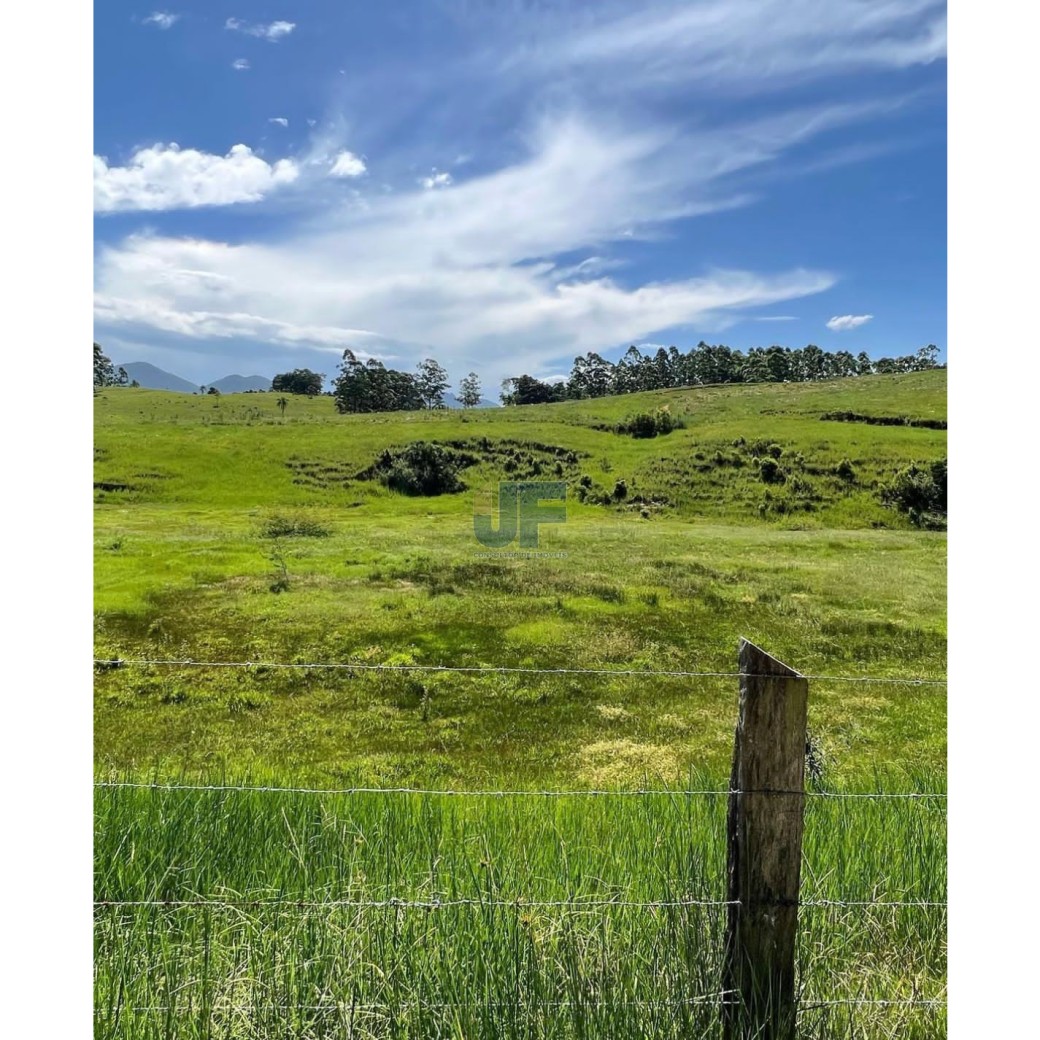 Fazenda, 82 hectares - Foto 8