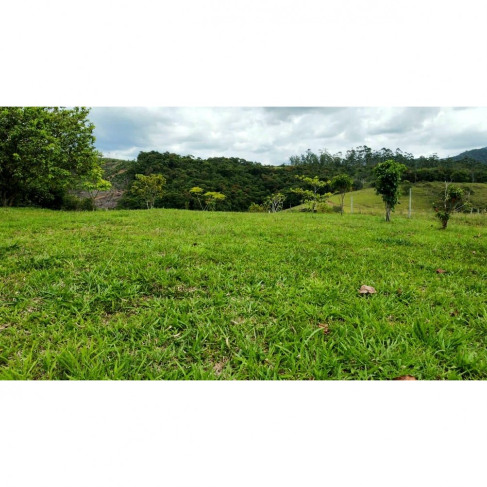 Sítio, 2 quartos, 6 hectares - Foto 4