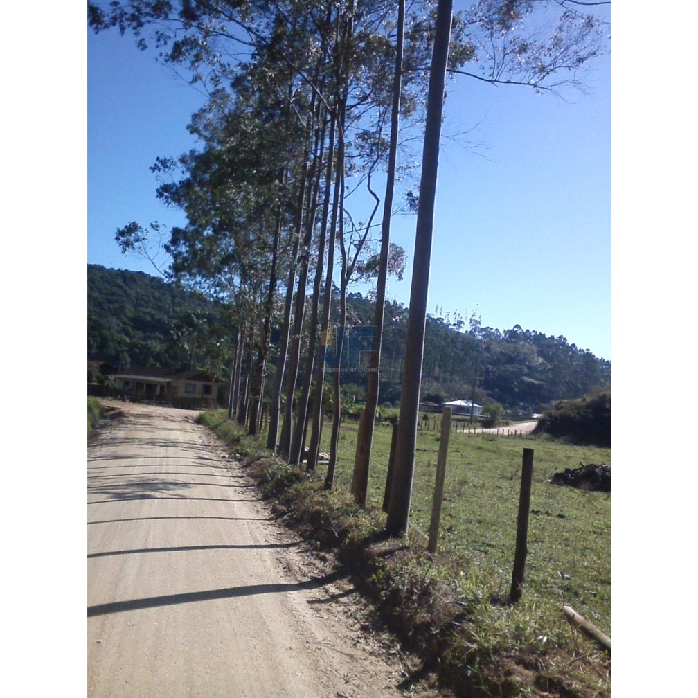 Sítio, 71 hectares - Foto 10