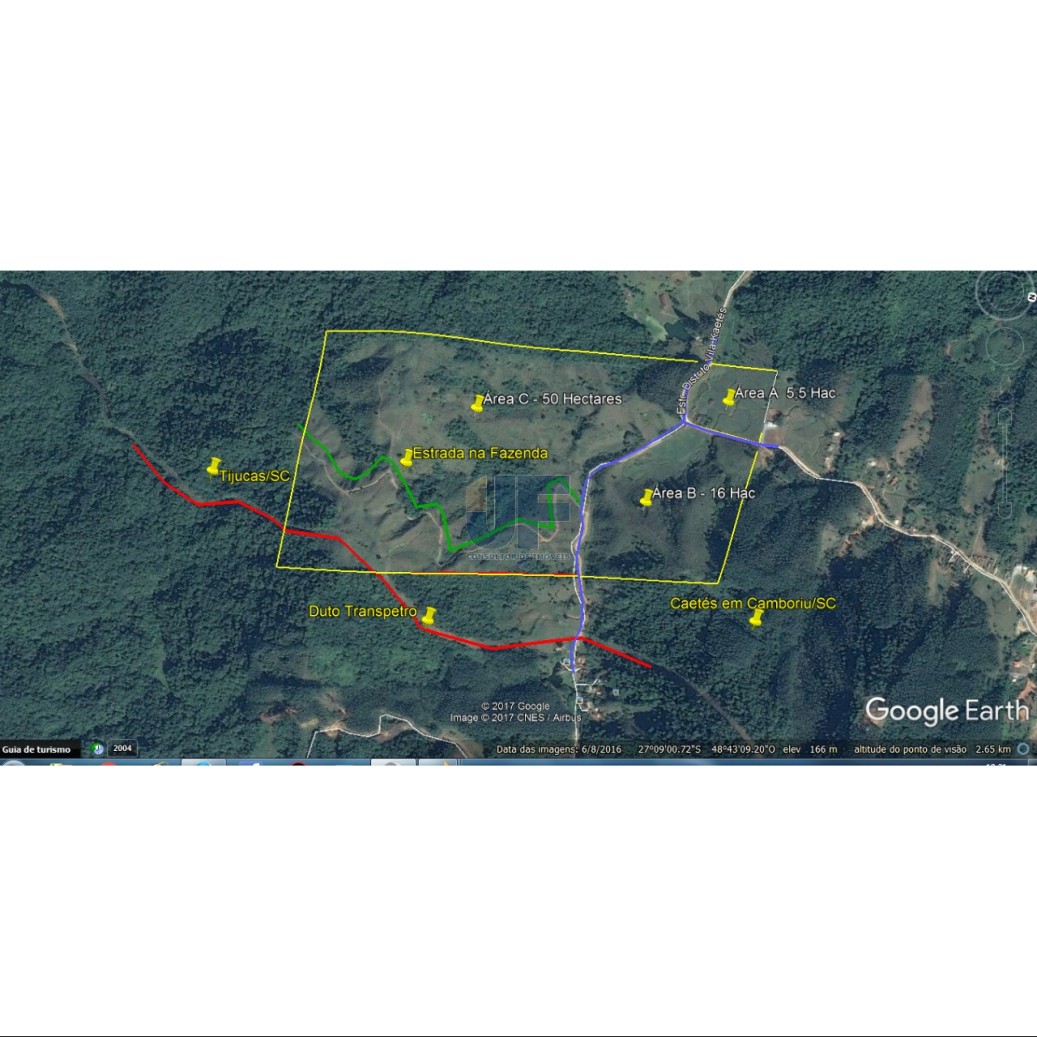 Sítio, 71 hectares - Foto 2