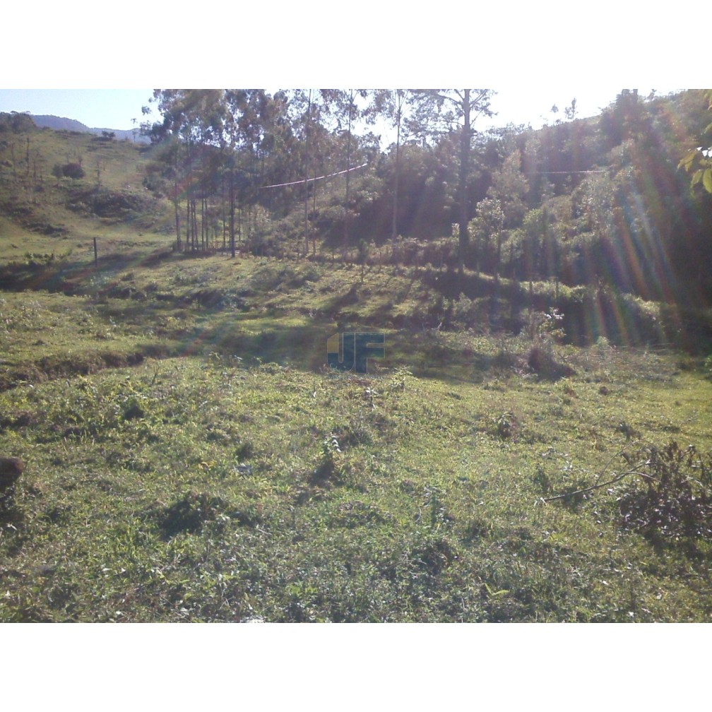 Sítio, 71 hectares - Foto 7