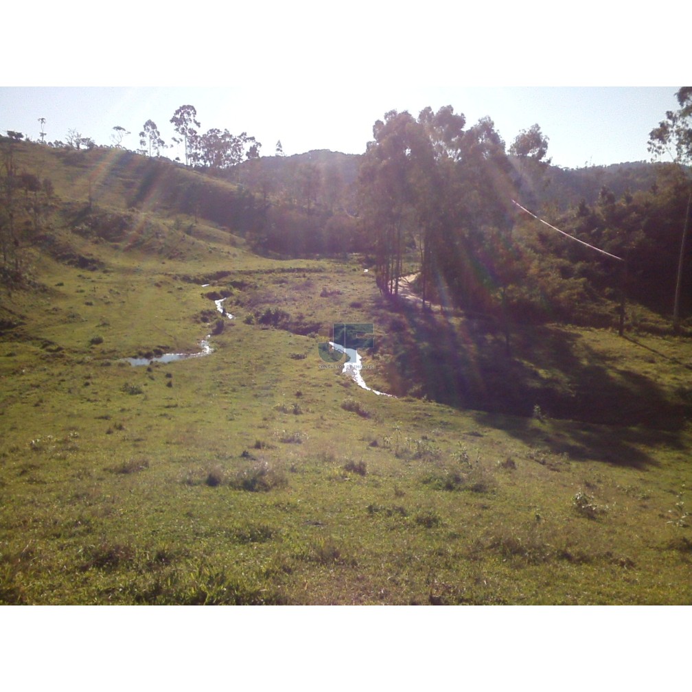 Sítio, 71 hectares - Foto 8